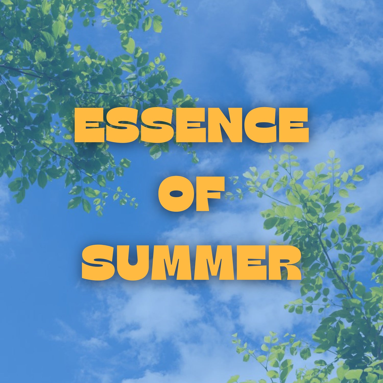 Essence of Summer Collection